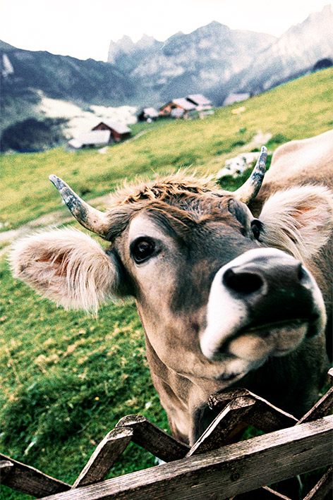 Switzerland | Hannes Schmid | Silent Echoes | Photography